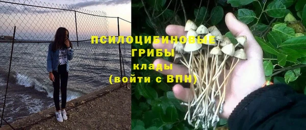 хмурый Алзамай