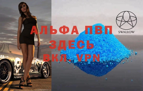 хмурый Алзамай